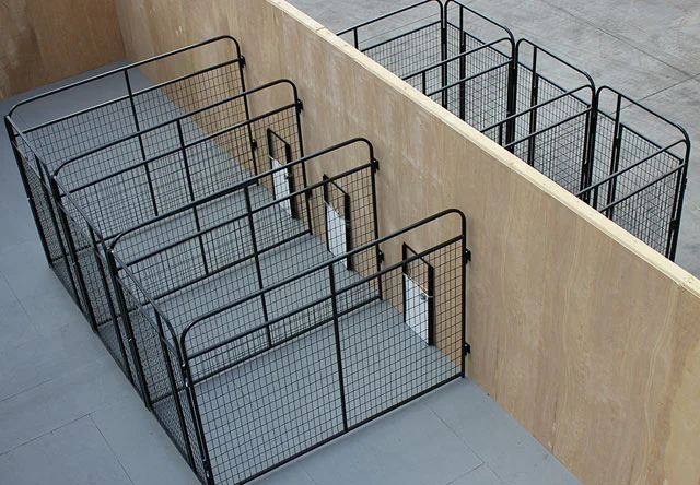 Dog Boarding Kennels Galvanized Steel Modular Dog Kennels for Sale