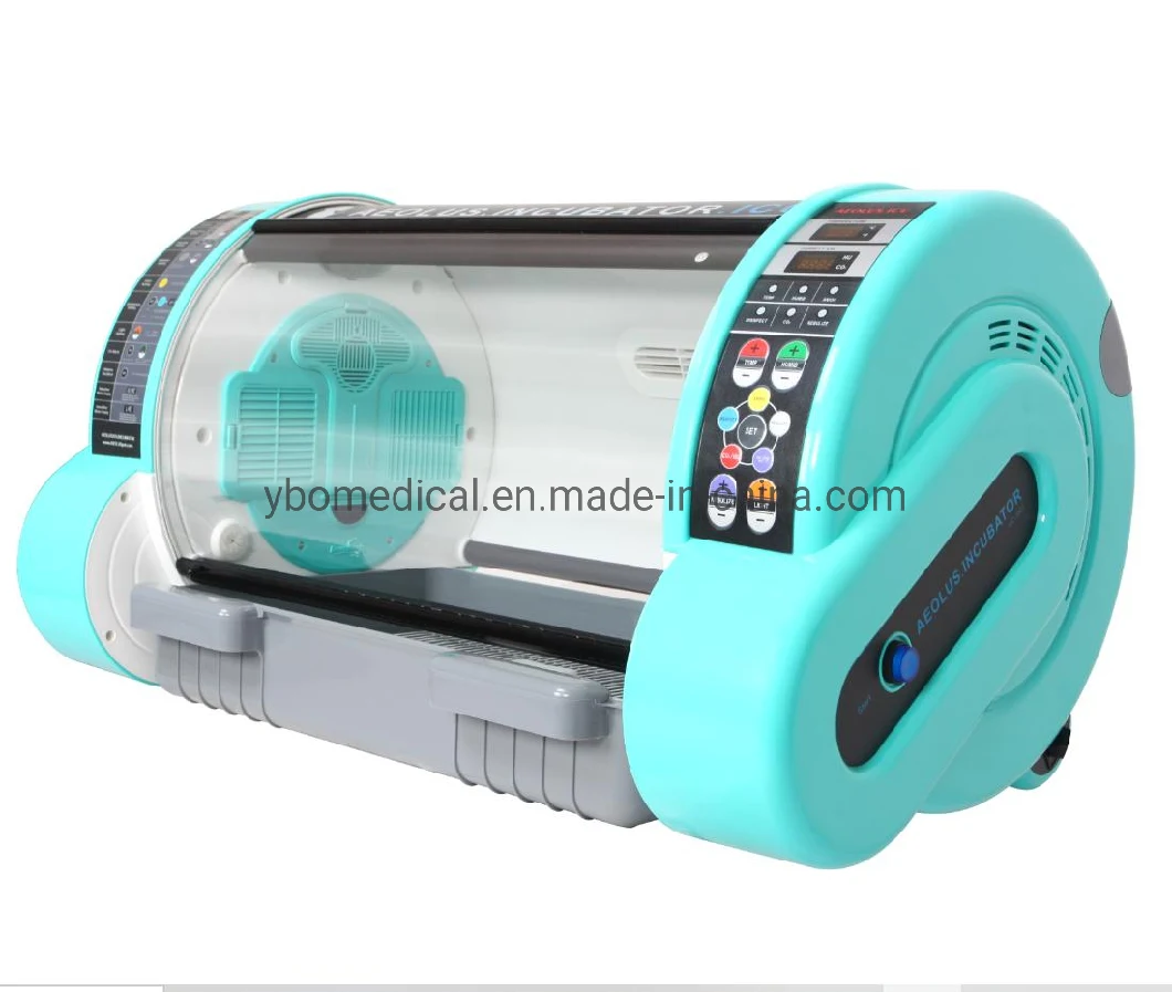 Medical Veterinary Clinic Animal Use Cheapest Portable ICU Pet Incubator Vet Incubator for Dog Cat